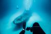 Malte : un paradis sous-marin