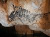 Grotte Cosquer - Luc Vanrell/DRAC Paca/Immadras
