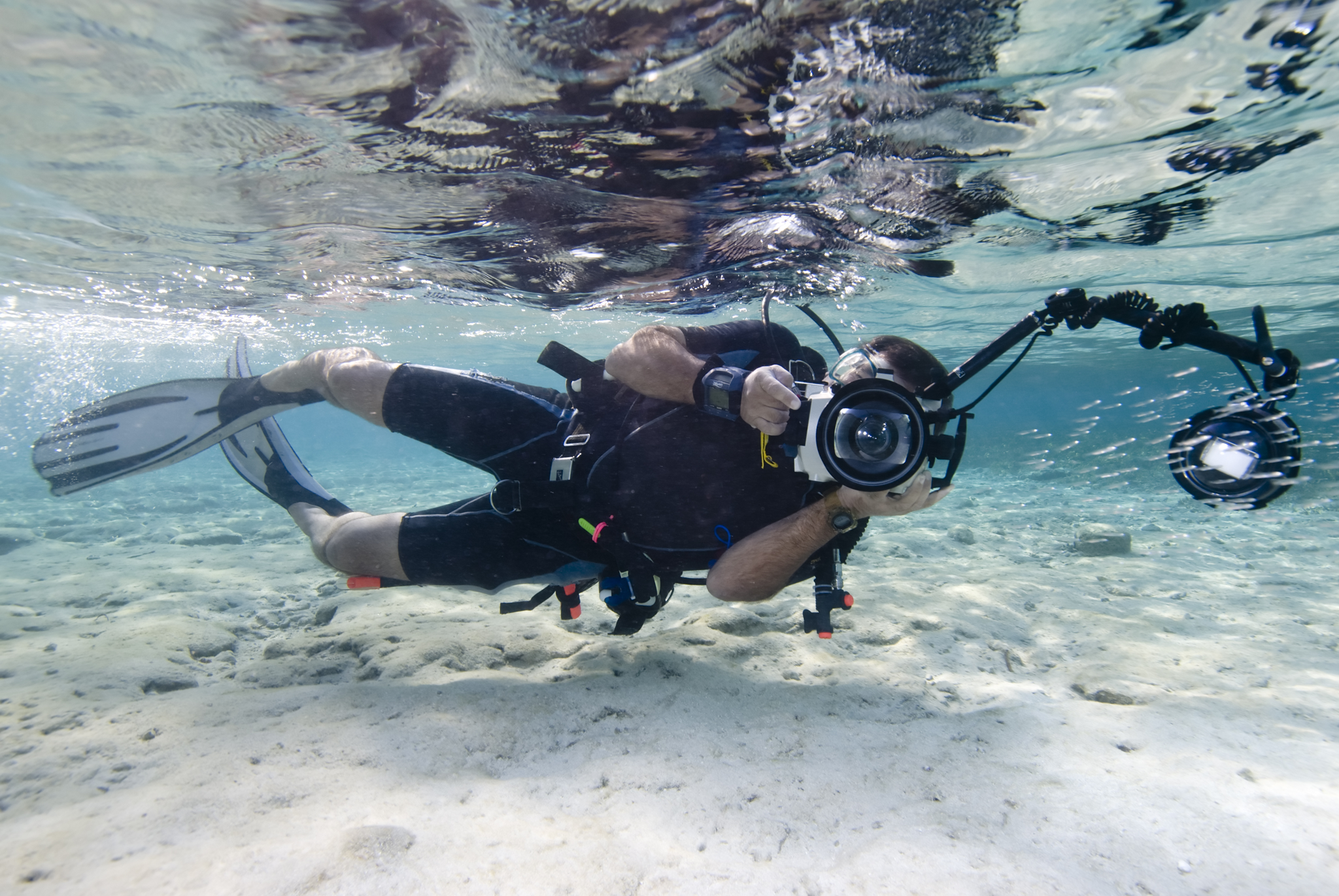 image principale à la découverte de la Photo et vidéo sous-marines