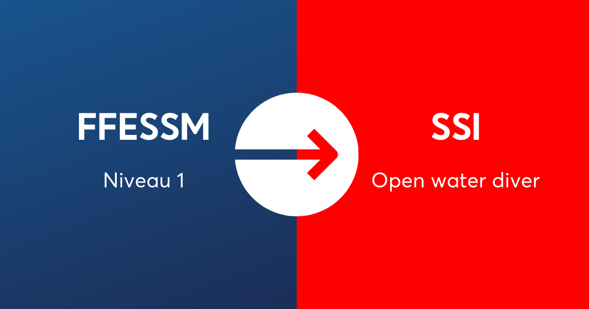 Passerelle niveau 1 FFESSM / open water diver SSI